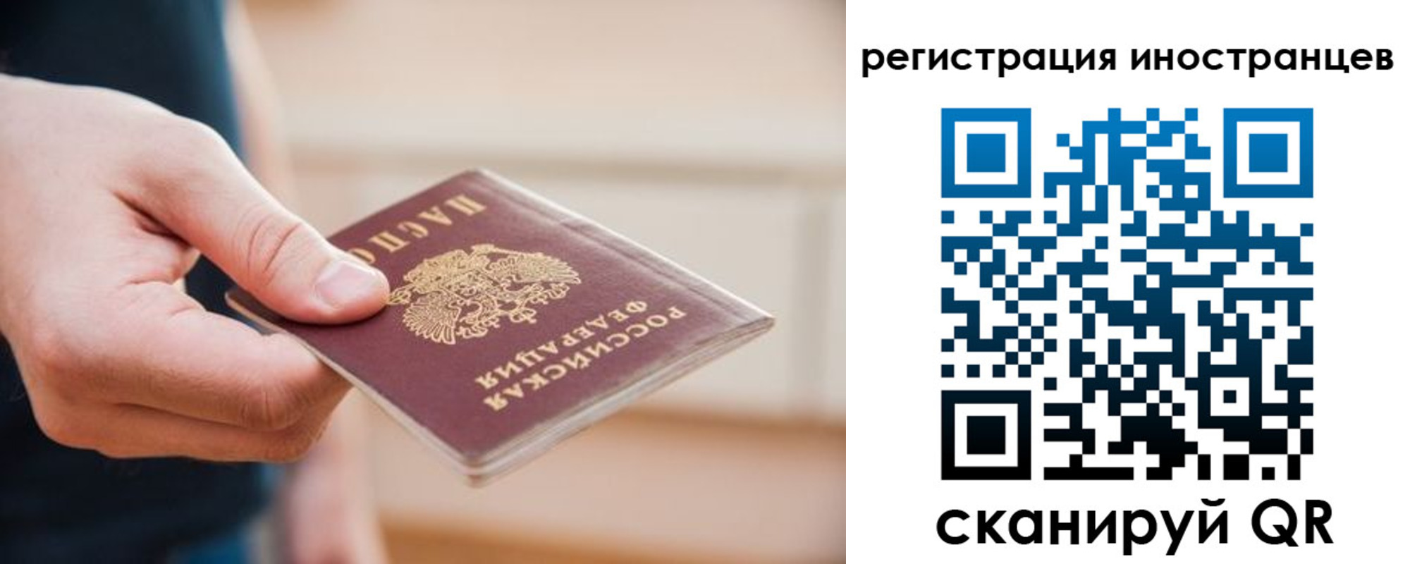 прописка гарантия в Димитровграде
